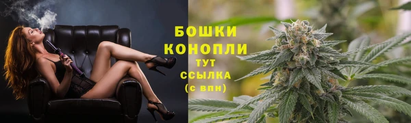соль ск Верея