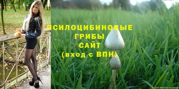 соль ск Верея