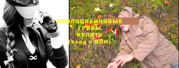 соль ск Верея