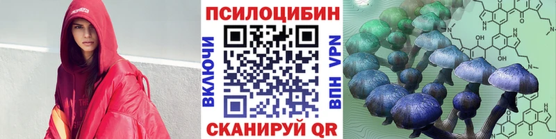 Галлюциногенные грибы мицелий Северск