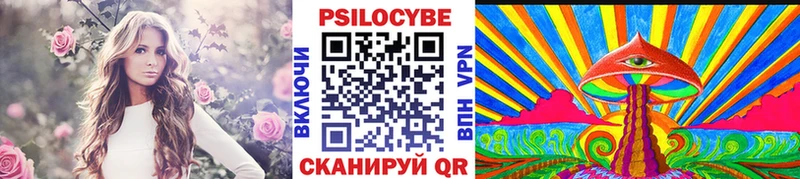 Псилоцибиновые грибы Psilocybine cubensis дарнет шоп Северск